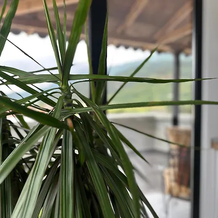 Appartement My Sky *