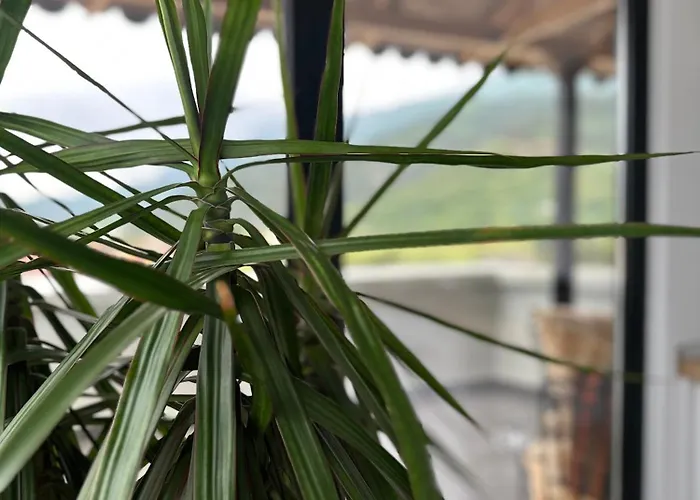 Appartamento My Sky *